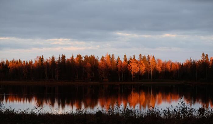 ����� � ���������