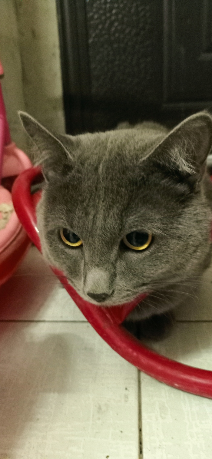 ������ ���!