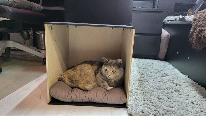 Модульный кошачий дом