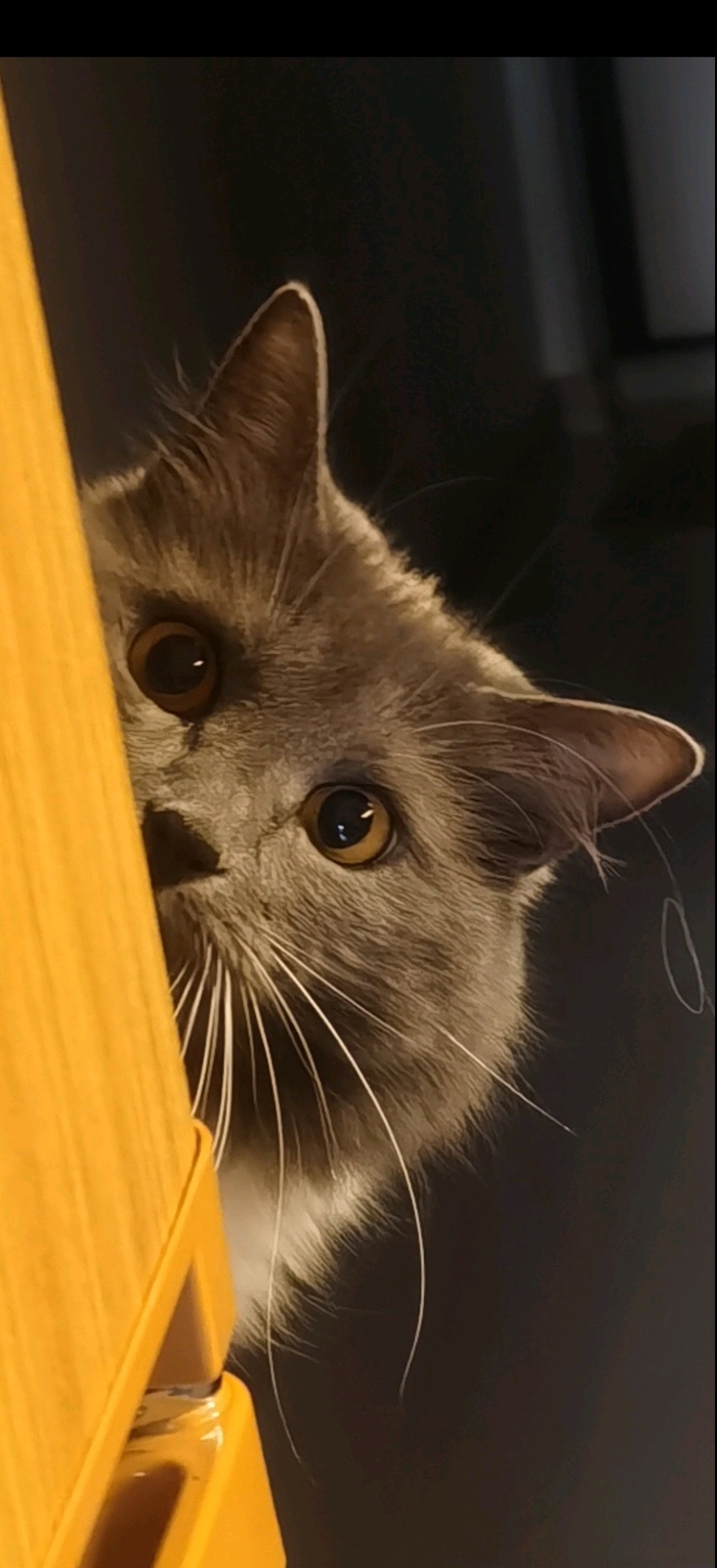 ��������� � ����� (?)