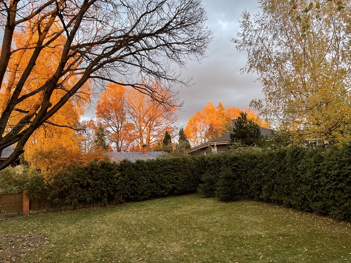 Луч солнца золотой