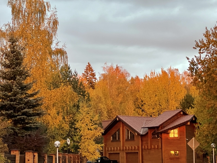 ����� ���� �������