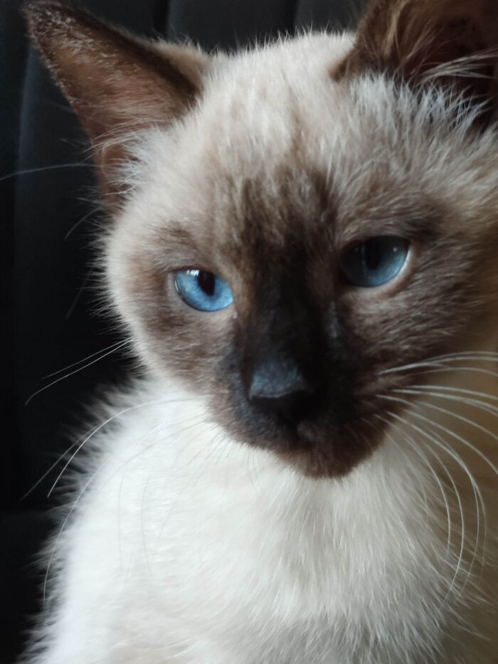 ����� �� ���� ������-�����������