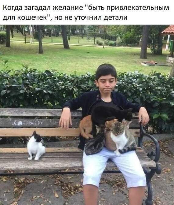 Да и так норм