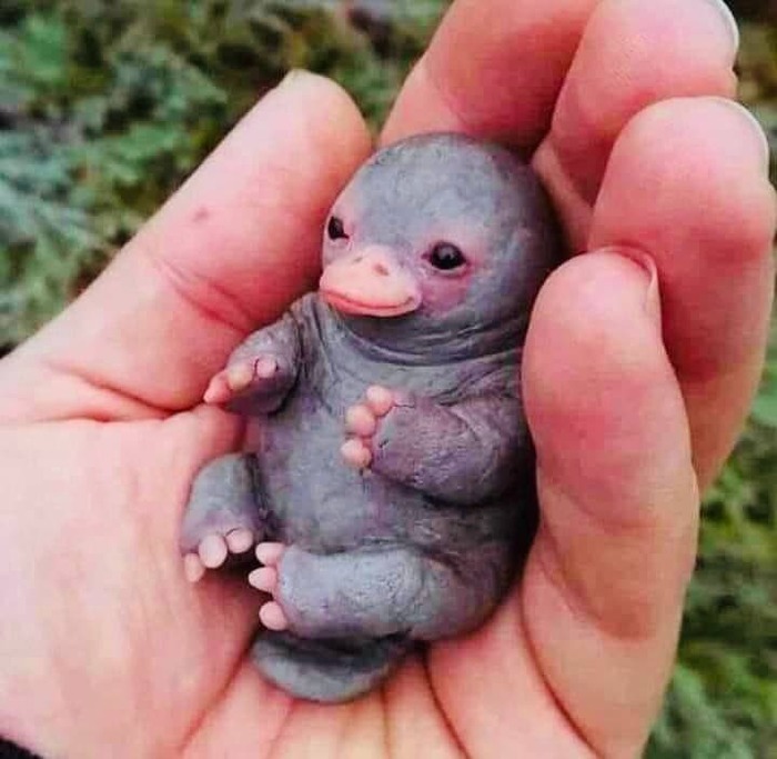 Вот ответ на мучительный для всех вопрос — что подарить на день рождения человеку, у которого всё есть?