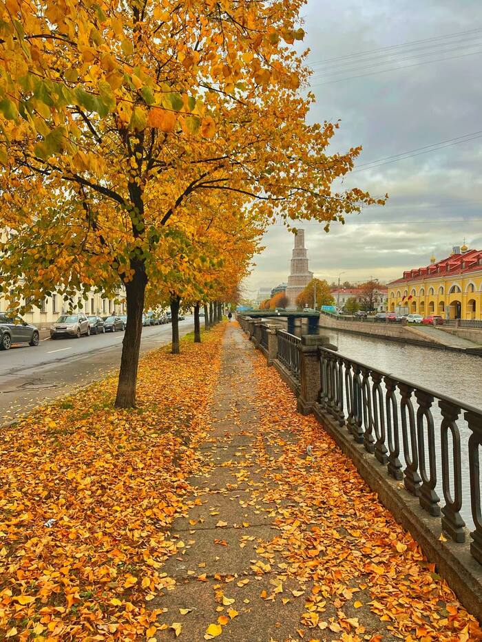Осеннее Фотография, Санкт-Петербург, Осень, Листья, Крюков канал