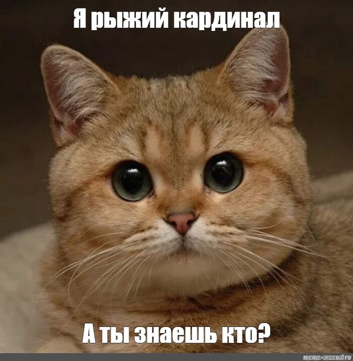 Инсулин. Обличение Здоровье, Питание, ЗОЖ, Правильное питание, Медицина, Инсулин, Ревматолог, Длиннопост