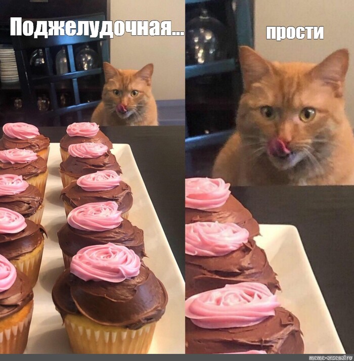 Инсулин. Обличение Здоровье, Питание, ЗОЖ, Правильное питание, Медицина, Инсулин, Ревматолог, Длиннопост