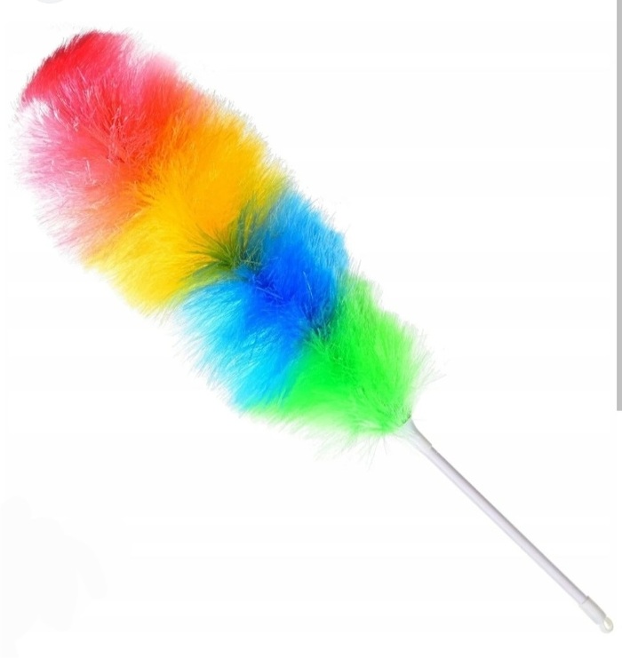 Как это правильно сказать? Вопрос, Грамотность, Заимствованные слова