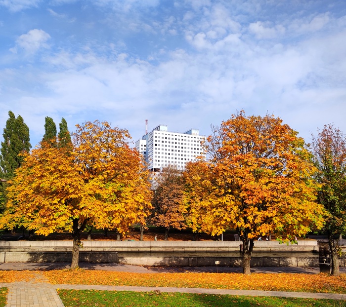 "Робот" в золотом наряде