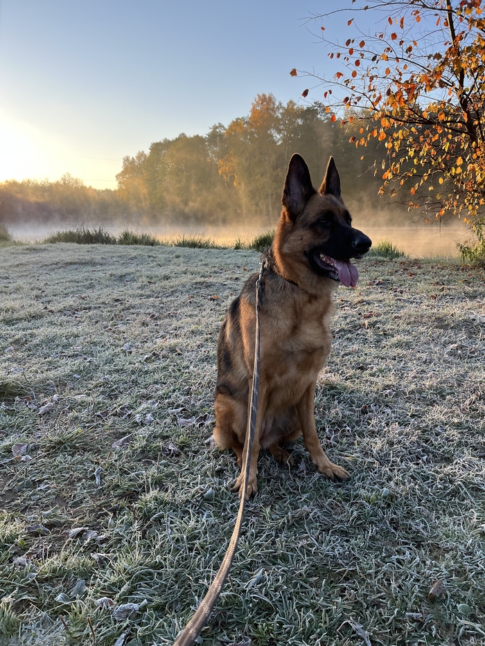 �� �������� ��������