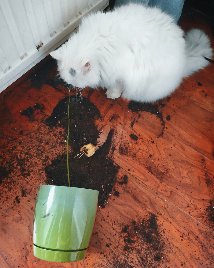 Я просто шел мимо