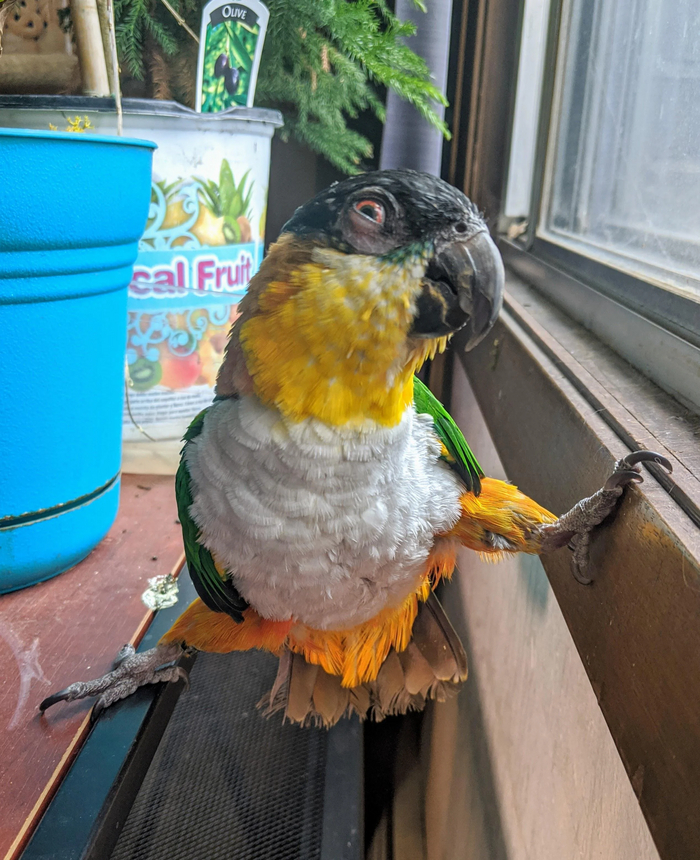,    , -  , , 