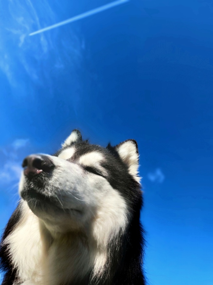 Здесь должна быть какая-то нев*ебенно мотивируящая подпись