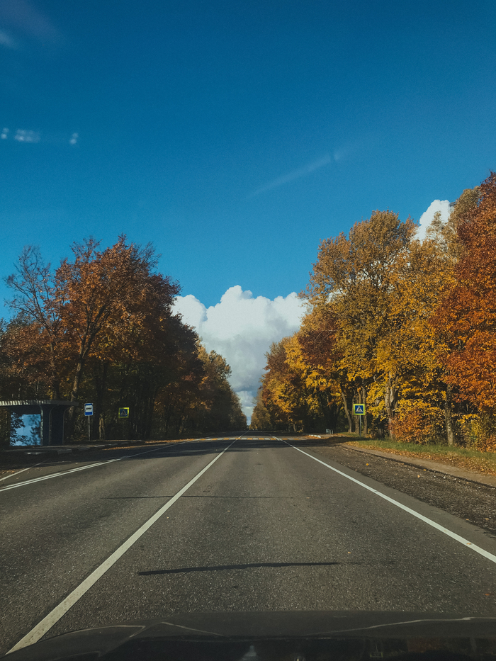 Золотая осень