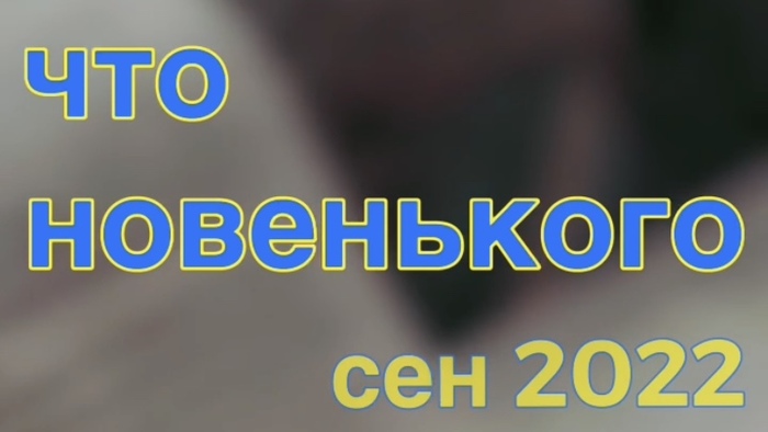  ? / 2022 ( ) , , 