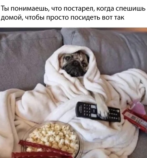 �������� �����