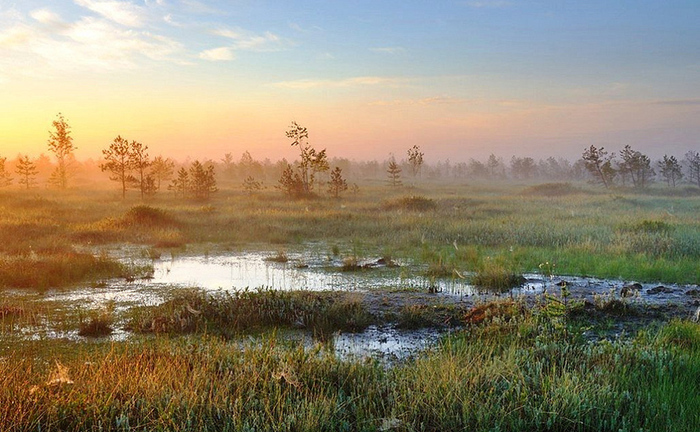 Осенние маршруты Беларуси Интересное, Красивое, Автомобилисты, Машина, Полезное, Познавательно, Авто, Путешествия, Осень, Путешественники, Транспорт, Маршрут, Республика Беларусь, Парк, Ивье, Необычное, Достопримечательности, Заповедники и заказники, Туризм, Дворец, Длиннопост
