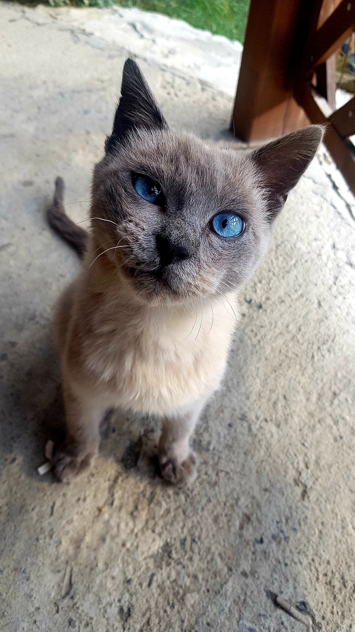 ����� � ���������