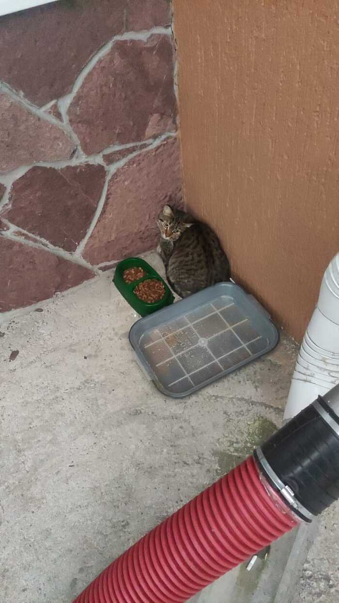 !    ! , , , ,  ,   ,  