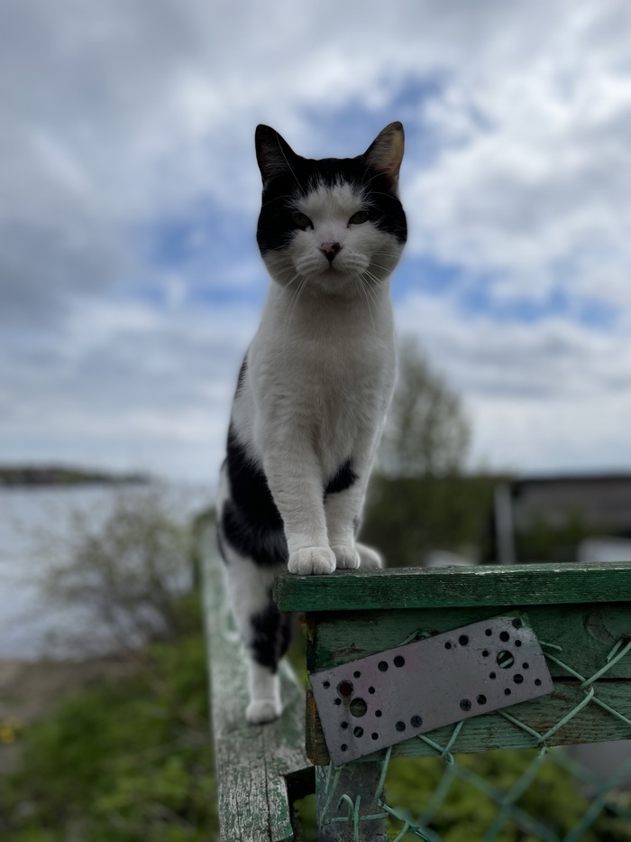 ��������������