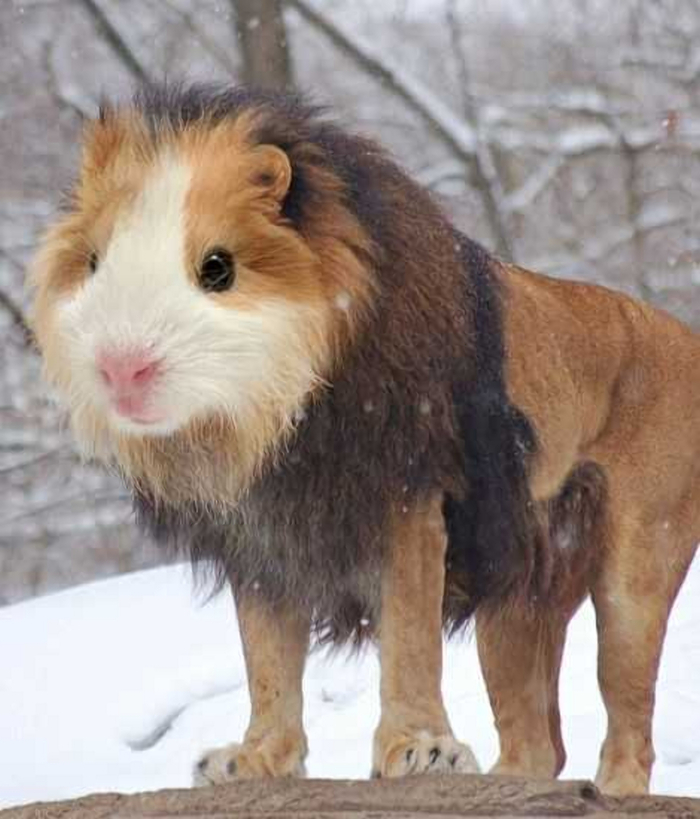 ���-�����