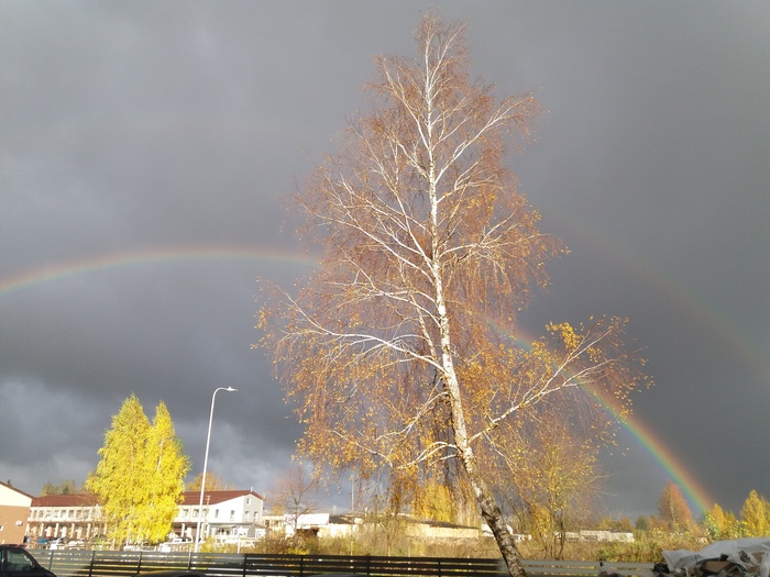 ������ ����