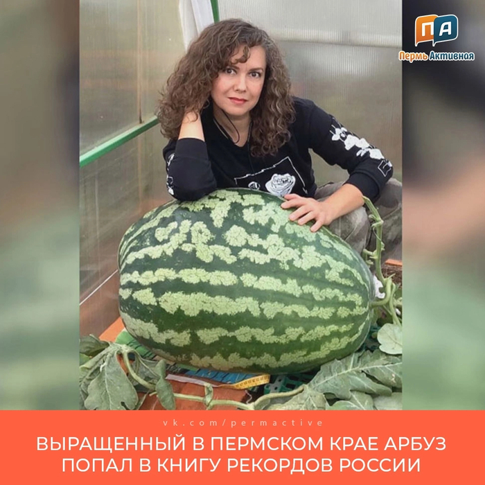 САМЫЙ БОЛЬШОЙ АРБУЗ!