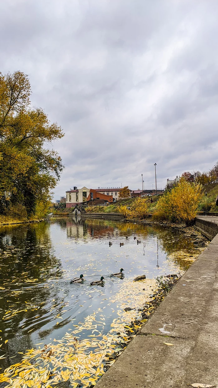 Осень В Екатеринбурге Фото