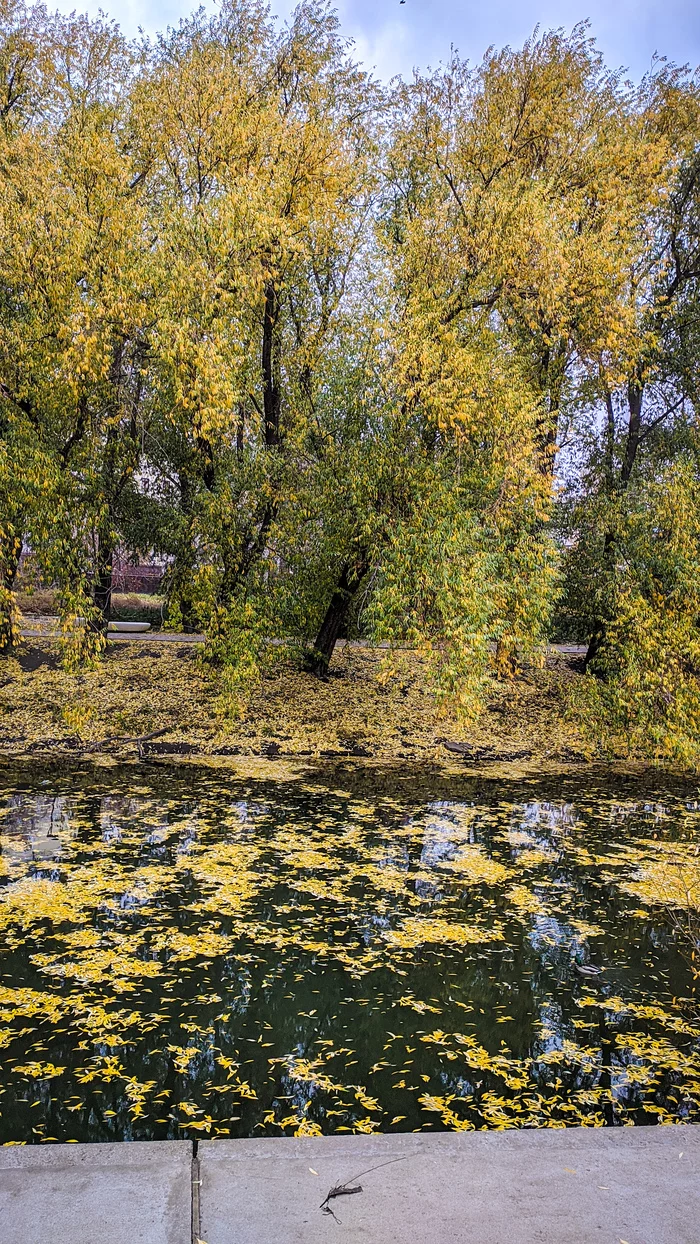 Осень В Екатеринбурге Фото