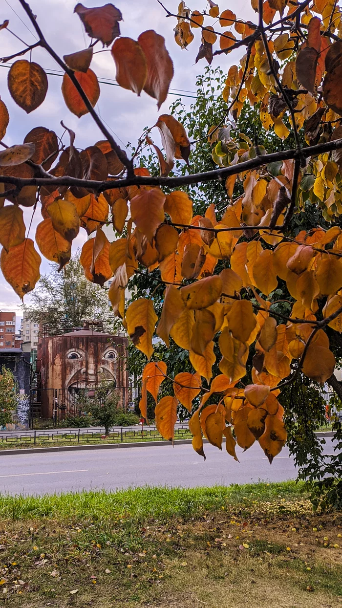 Осень В Екатеринбурге Фото