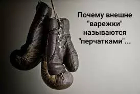 🥊 Почему боксерские перчатки – перчатки, если это варежки?