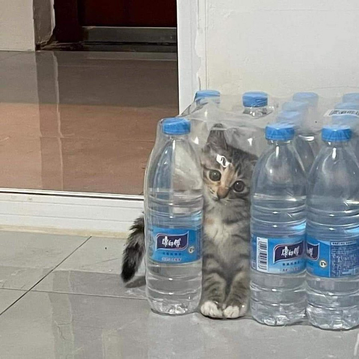 ���� -- ��� �������� : )