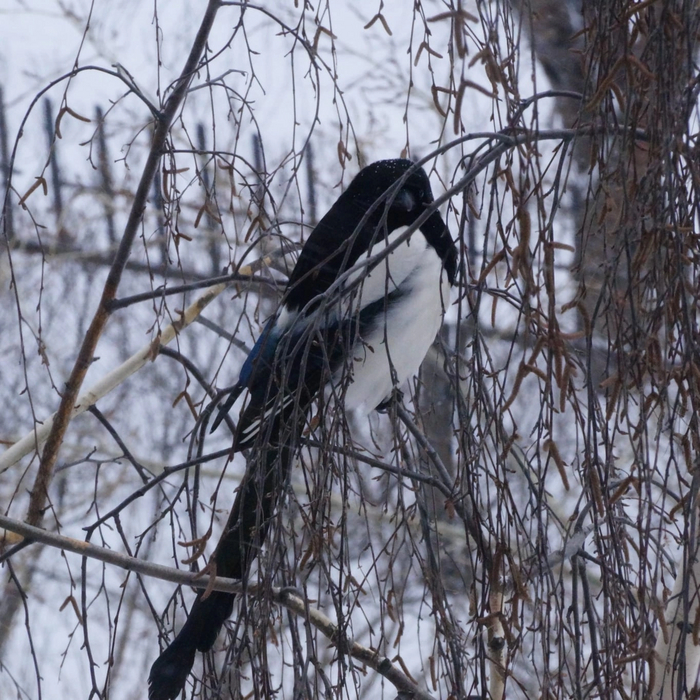 Взгляд говорит сам за себя