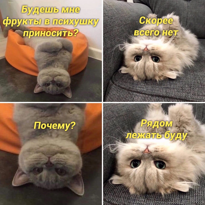   ,   , ,  