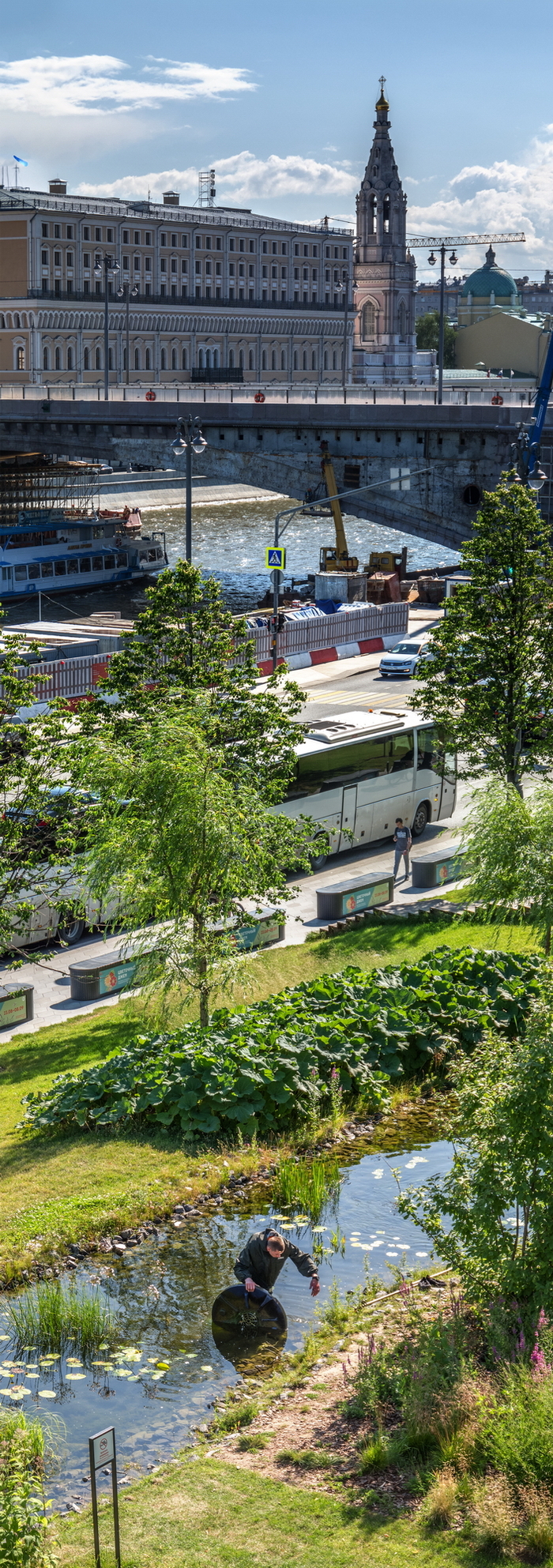 Московский Дуремар))