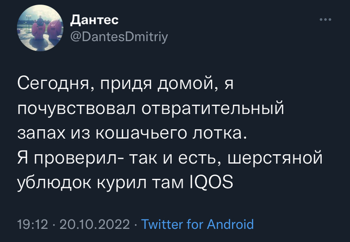 Шерстяной ублюдок