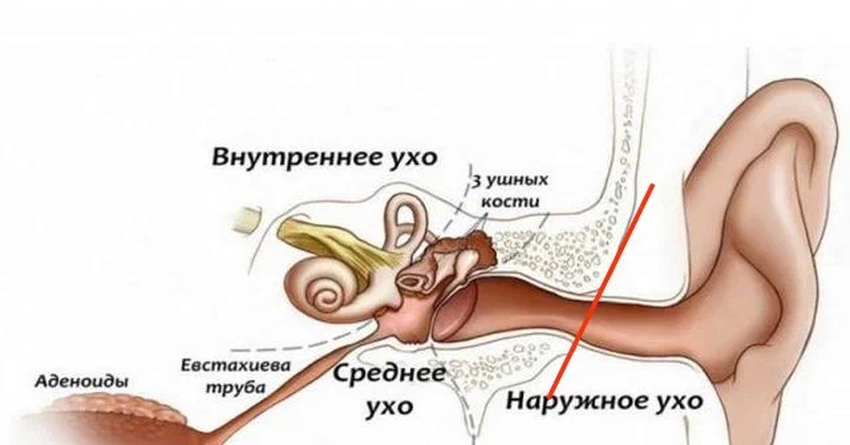 Встаю со стула закладывает уши