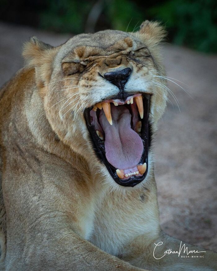 �� ����� �� �������!