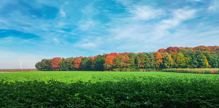 ����������� �����