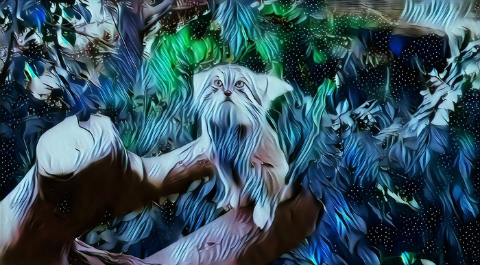 ���� ������� ������-����!