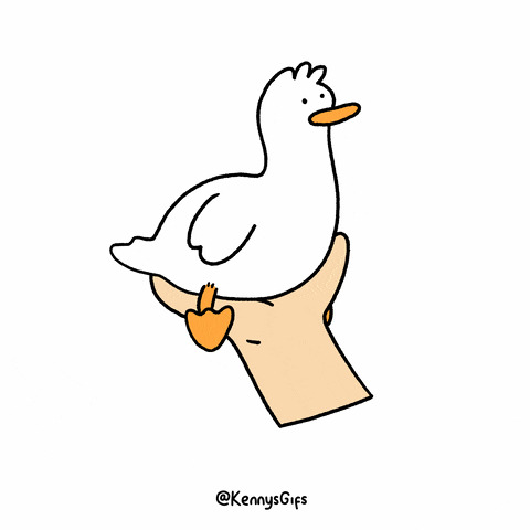 Duck walk2