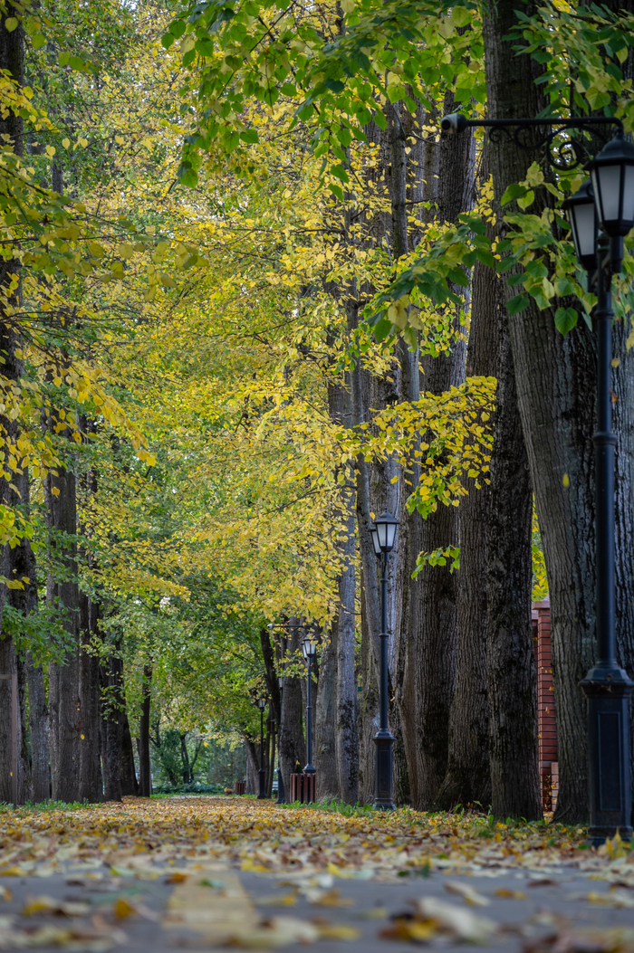 Россия. Краснодарский край. Славянск-на-Кубани