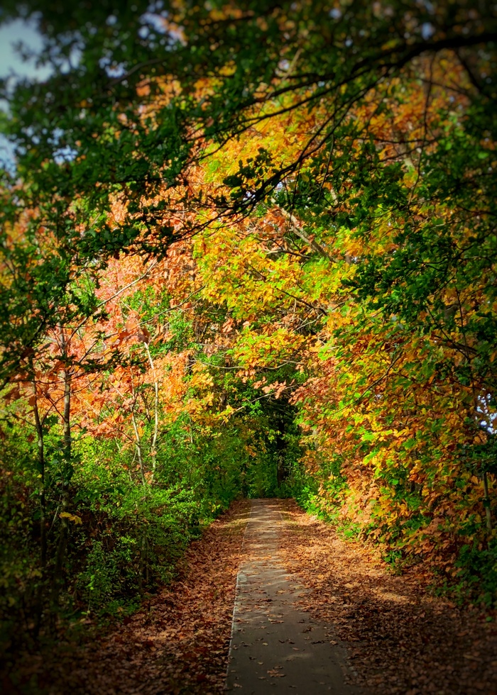 Осенний коридор
