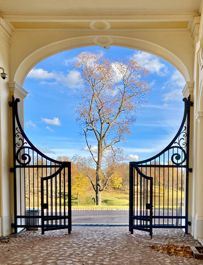 Ораниенбаум. Осень 2022 Фотография, Осень, Санкт-Петербург, Ораниенбаум, Мобильная фотография, Длиннопост