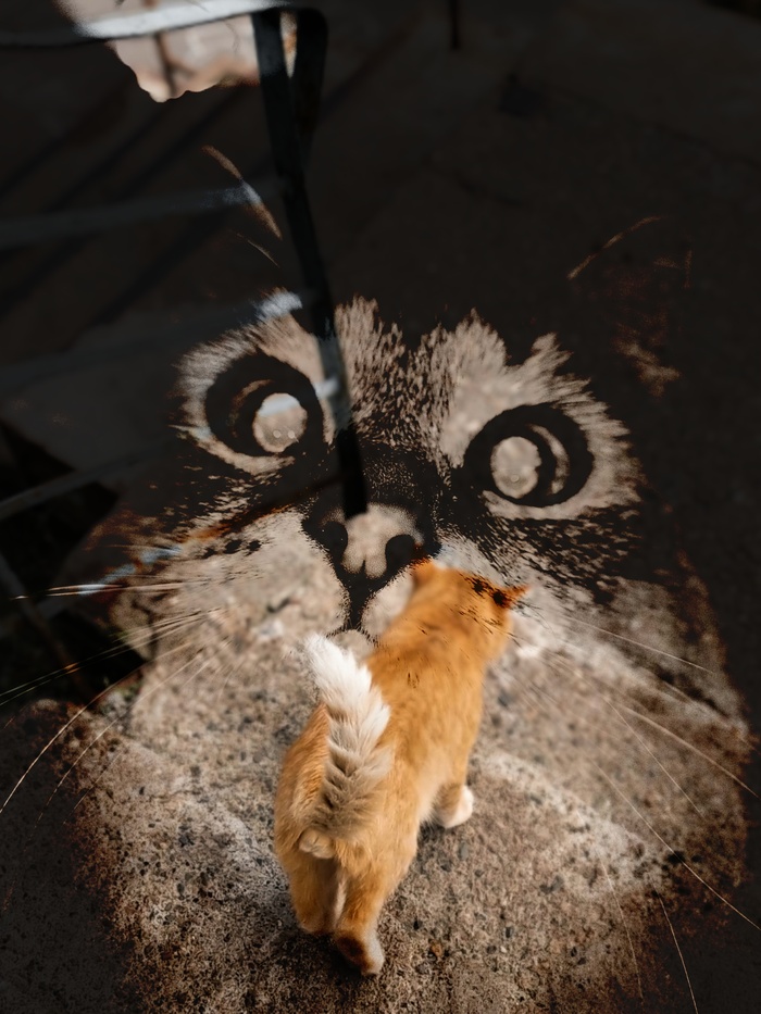 ,   ,  ,  ,  