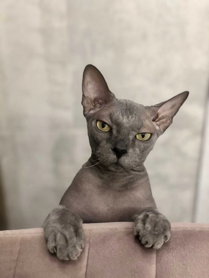 Суровый мужчина по кличке Жмых