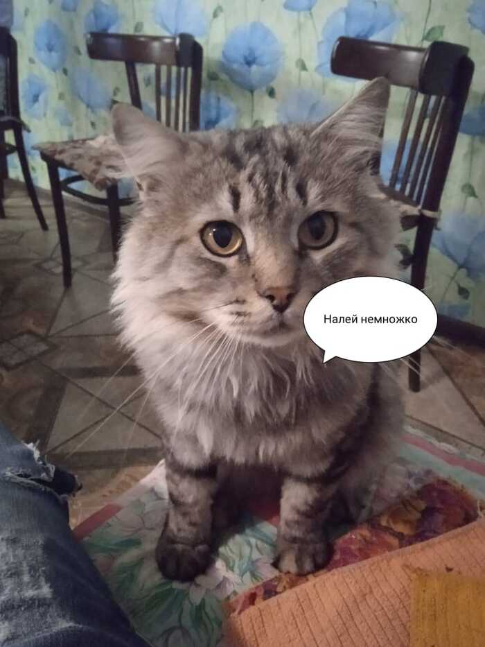 , ...