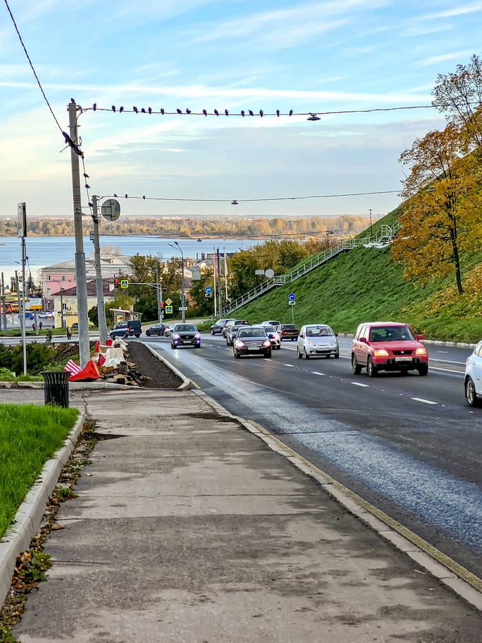 Бионические камеры слежения. Нарушил — увидят, запомнят, догонят и обгадят