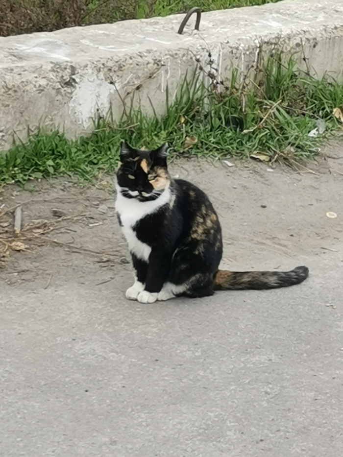 ���� ����� �� ������